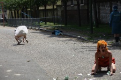 Be Felice 75 * 5616 x 3744 * (8.85MB)